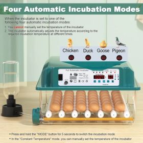 36 Eggs Incubators for Hatching Eggs,Egg Incubator with 4 Automatic Incubate Mode,Chicken Incubator with Automatic Egg Turning Humidity Monitorin (Option: Defaulttitle)